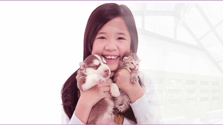  노원구 성북구 동대문구 강아지 장례 고양이 화장 장례식장 시간 구애 없이 가능한 곳