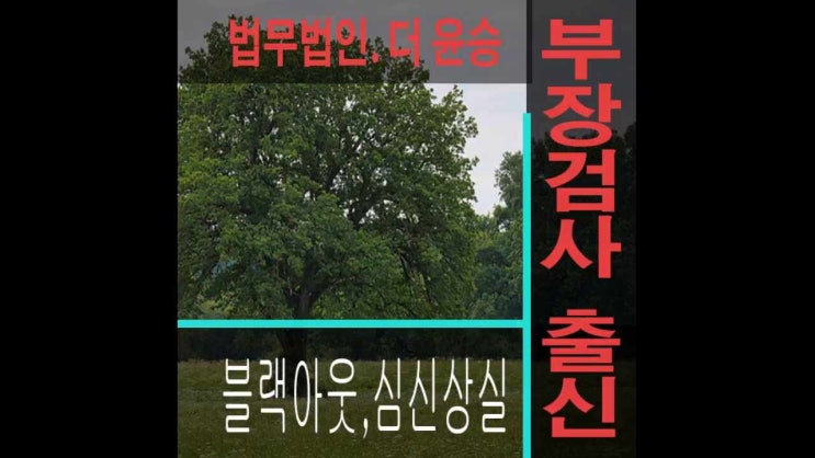  화성형사재판변호사  성범죄블랙아웃과 최근판례해석