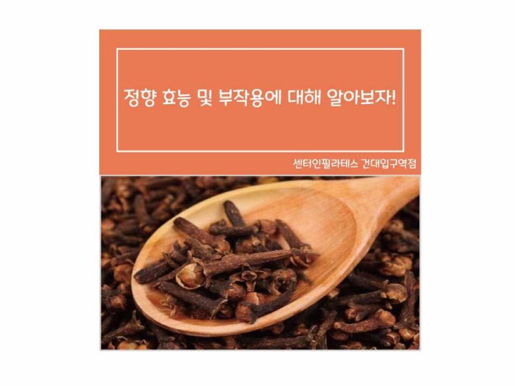 정향 효능 및 부작용에 대해 알아보자! : 네이버 블로그