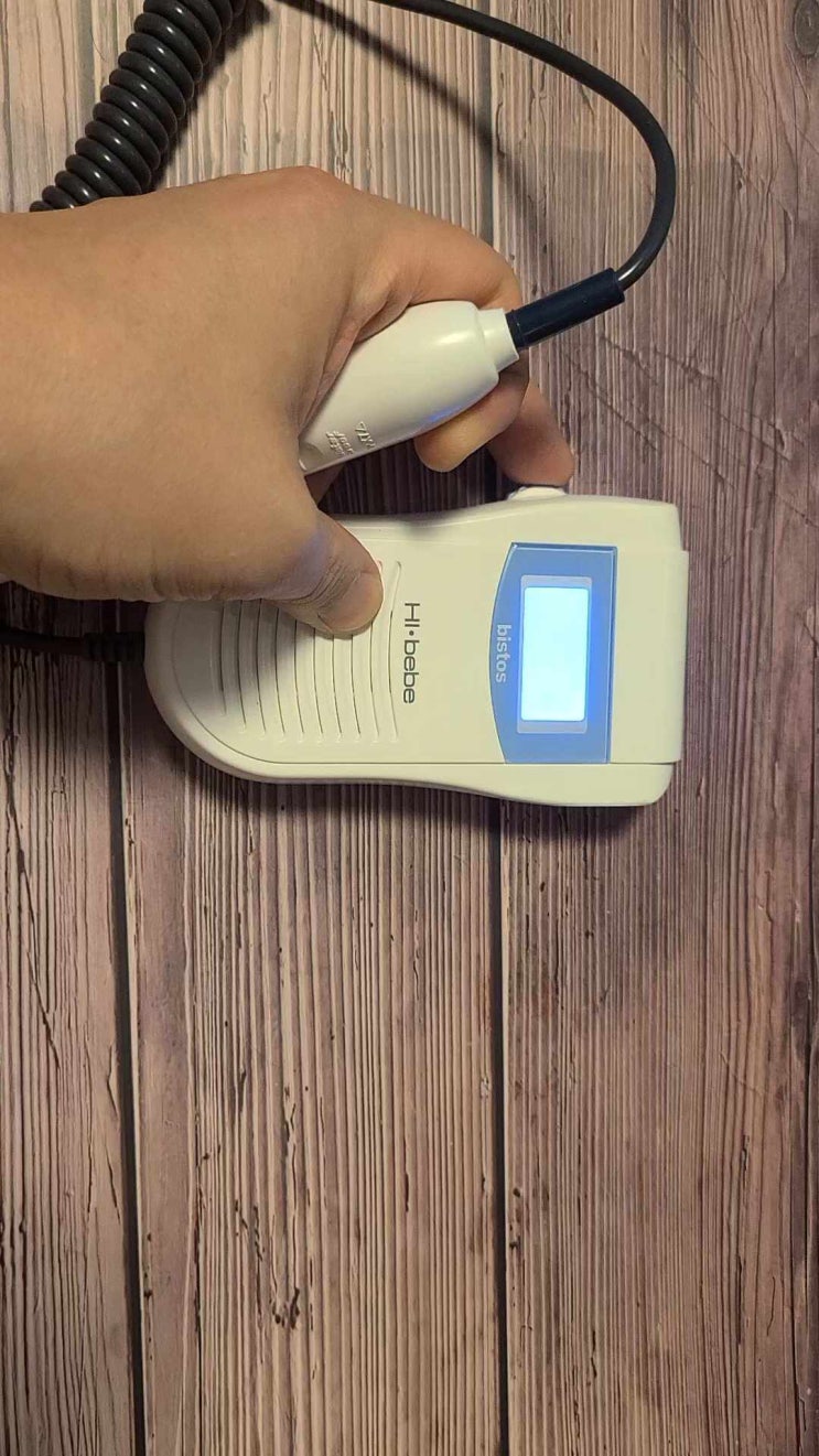  태아 심박수 체크 내돈내산 솔직 후기 (하이베베, 하이배배, 태아 심음 측정기, fetal doppler, 임신 심박수)