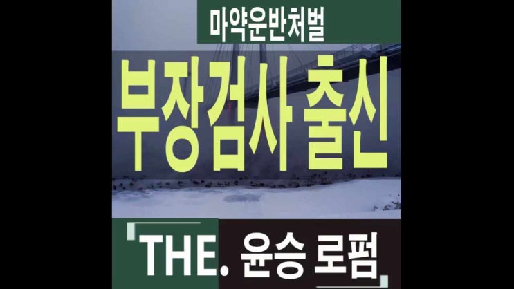  마약운반처벌 고의성검토