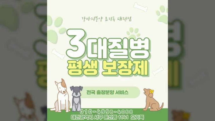  홍성강아지분양 연말할인 포메라니안 만나요