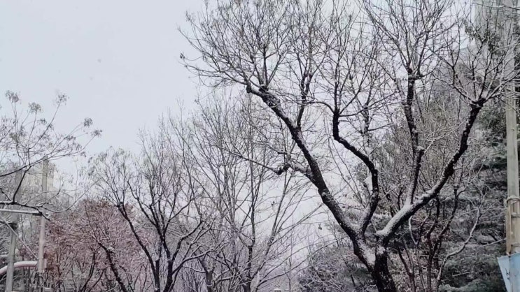  겨울 설경 같이 보아요