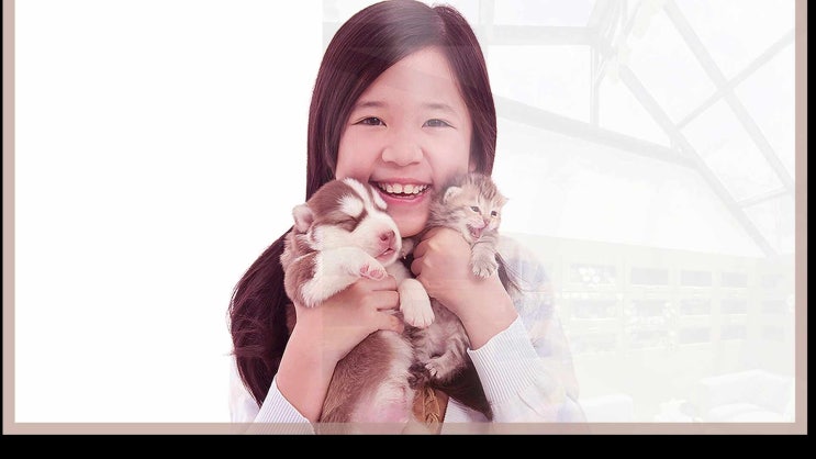  안산 강아지 반려동물 고양이 장례 화장 실시간 예약 가능한 장례식장