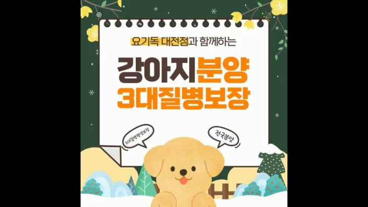  보령강아지분양 후기확실 말티푸 성격