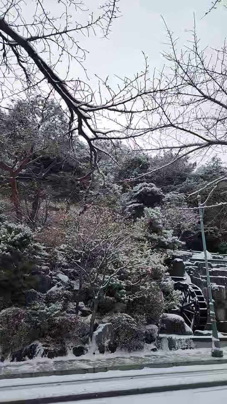  차사고 사고문의 보험사 직원이 다해주시나요?