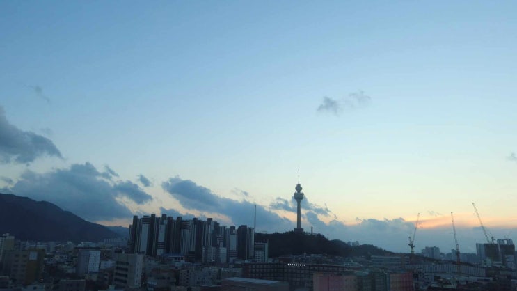  코로나 확진 자가격리 4일째