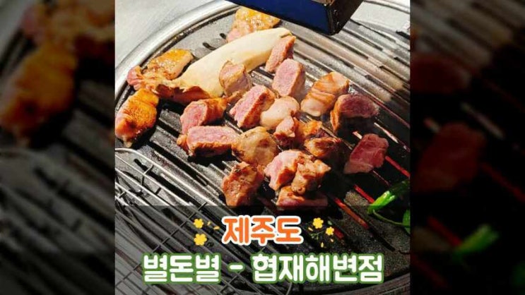  제주도 별돈별 협재해변점 내 돈 내산 후기
