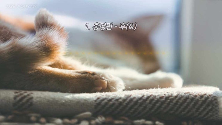  추천곡 15곡 1시간 듣기