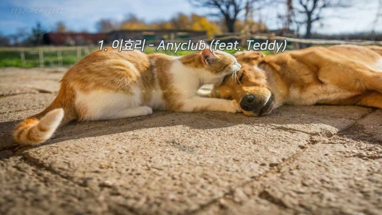  여자 댄스곡 추천곡 21곡 1시간 듣기