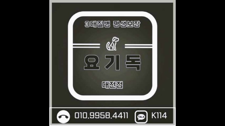  대전실버푸들분양 인정 했어요