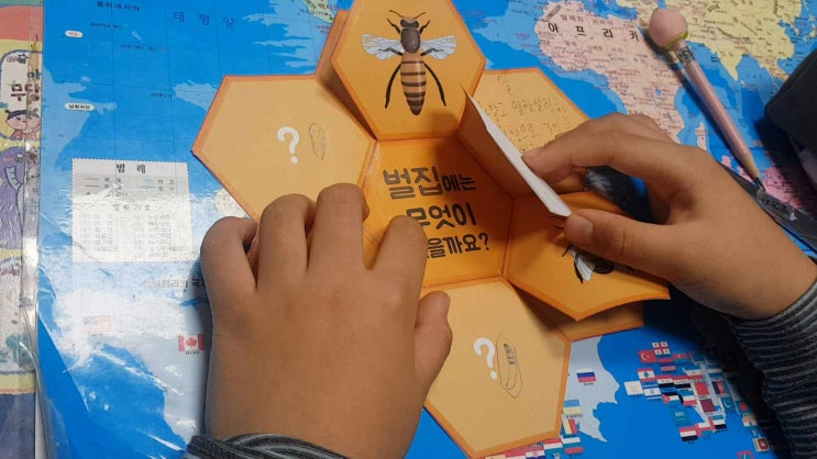  [엄마표 헬로숲] 벌집책 만들기