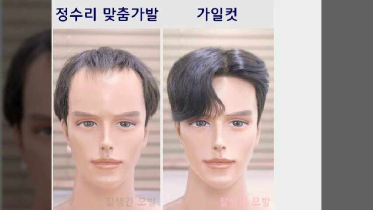  머리가발 숱없는남자 탈모 기성가발 스타일 쇼핑몰
