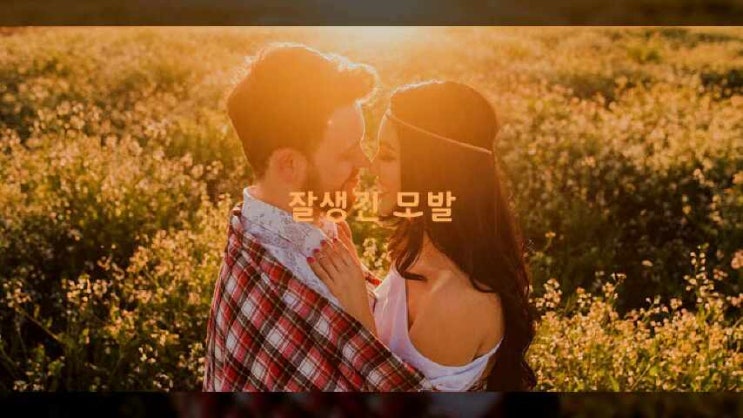  가발세척 샴푸 린스 가발잘하는곳