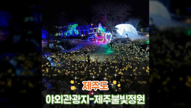  제주도 2일차 - 제주불빛정원 관람 가이드 해주는 고양이