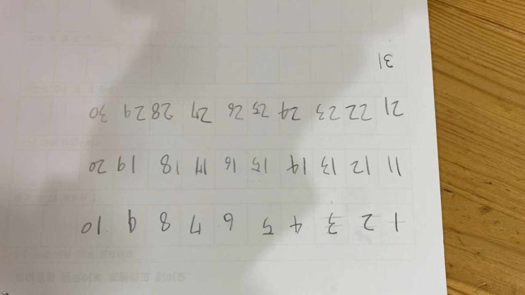  <시오랑 중국어> 1월1일 ~ 1월31일