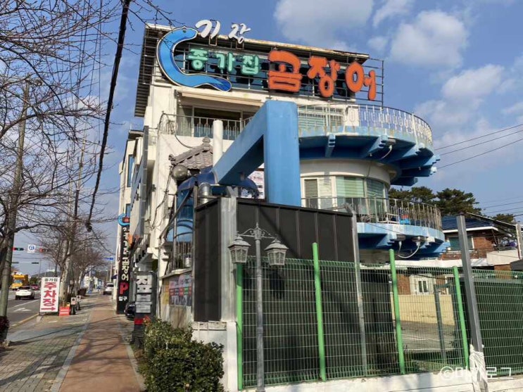  동부산맛집 기장 종가집곰장어 싱싱한 꼼장어 먹고왔어요