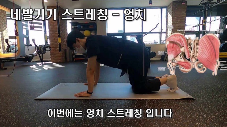 네발기기 스트레칭 - 엉치 : 네이버 블로그