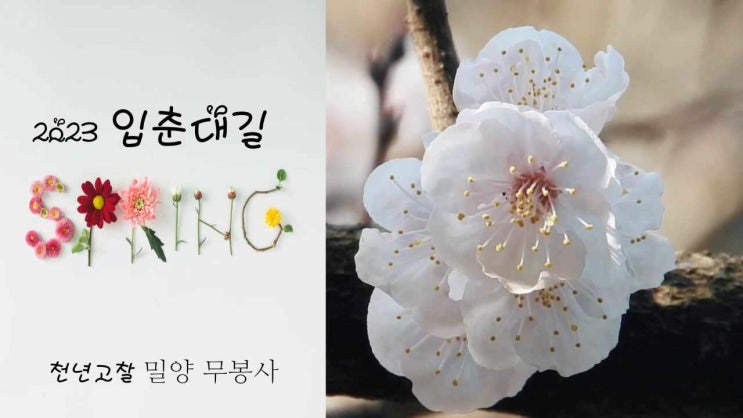  [천년고찰 밀양 무봉사] 입춘대길 법회/기도 안내