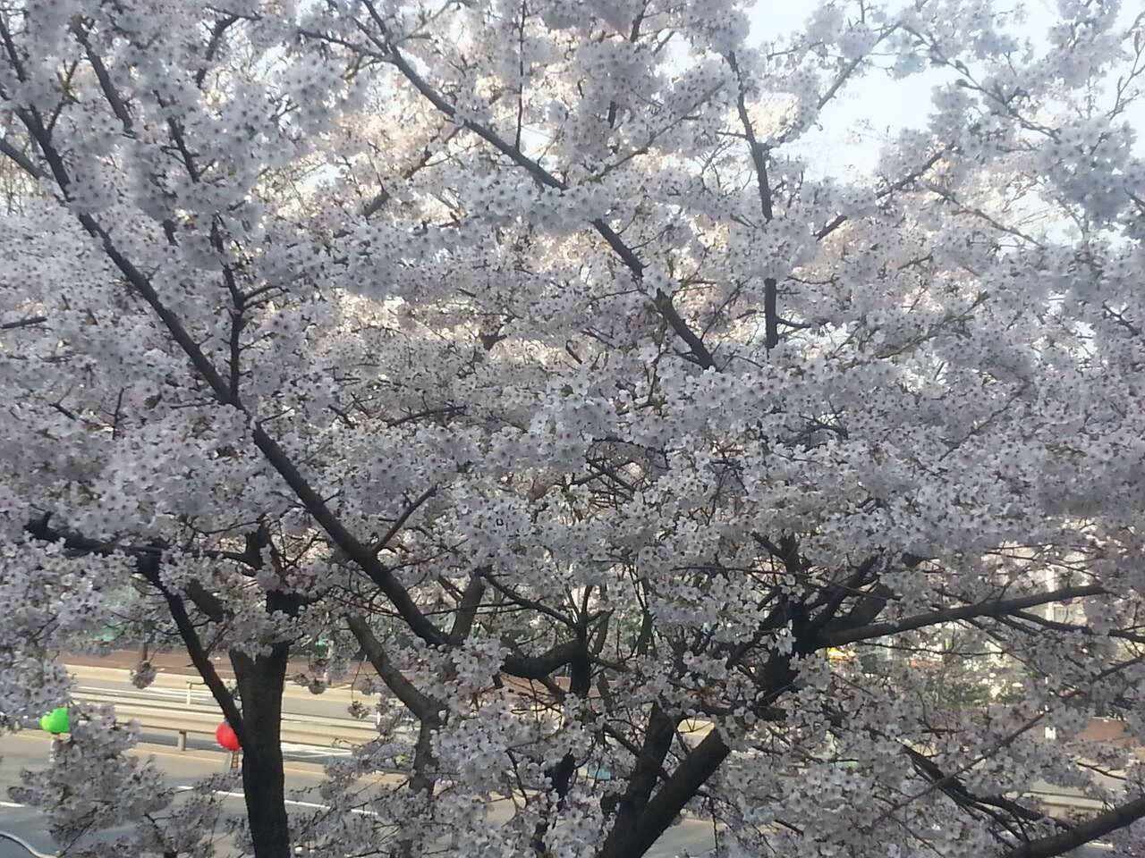 평행선/김수찬