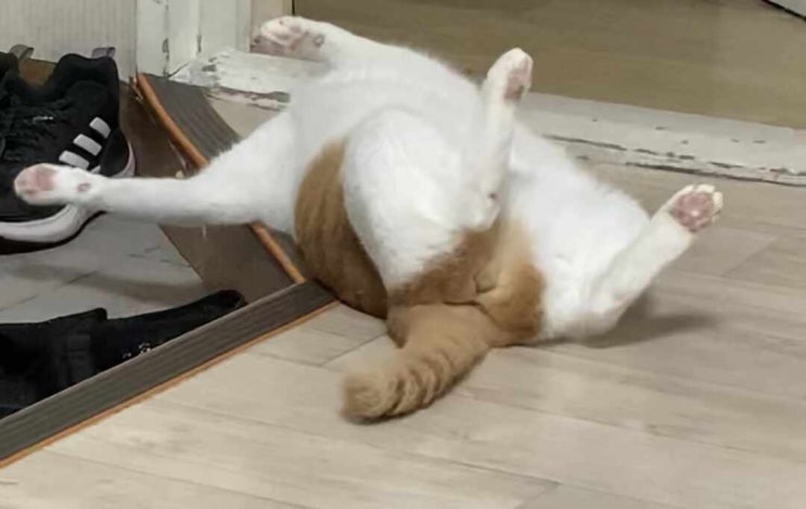  성장일기 22/09