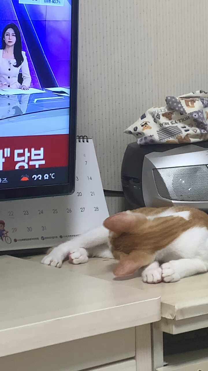  성장일기 21/08
