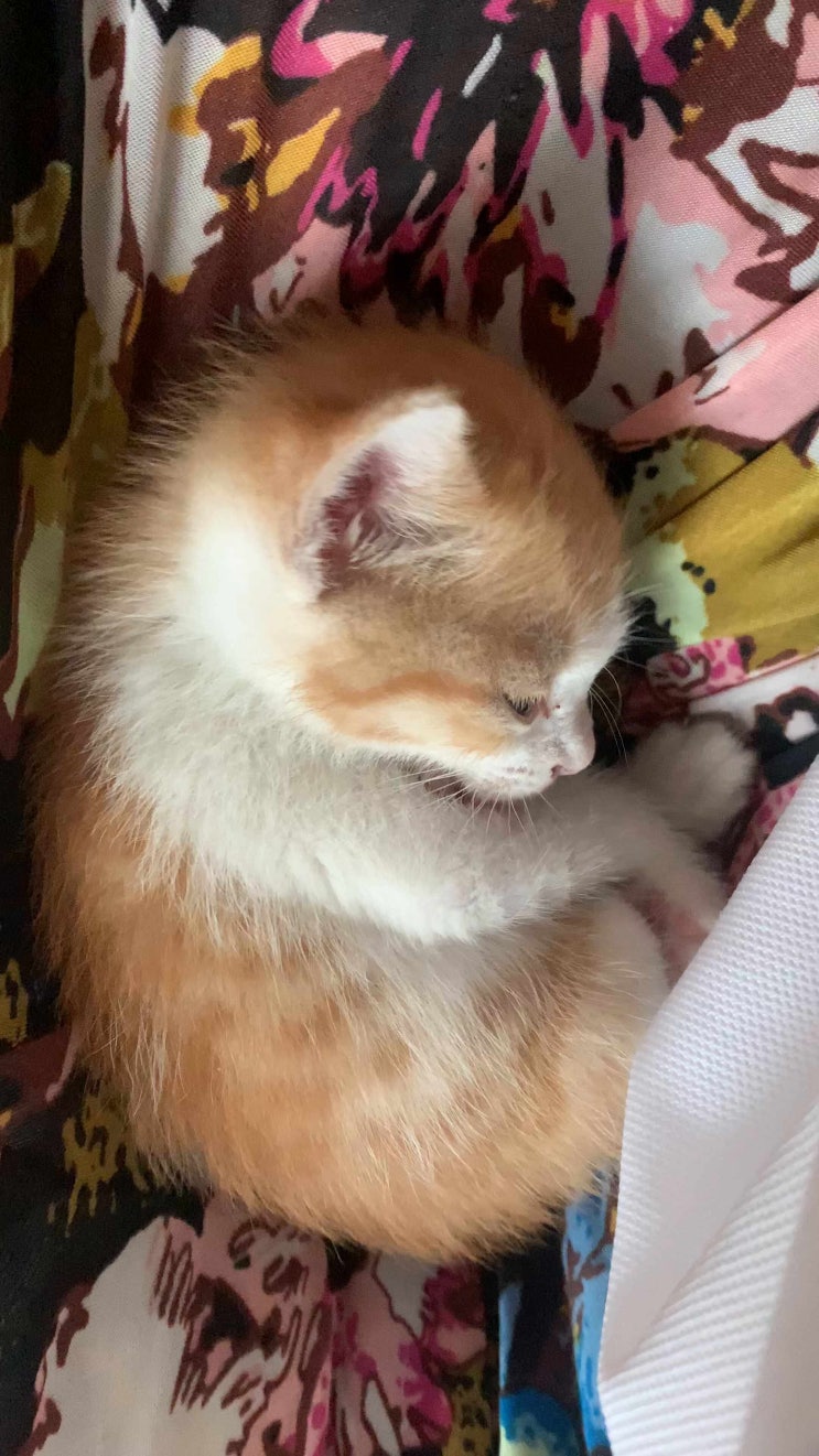  성장일지 21/05