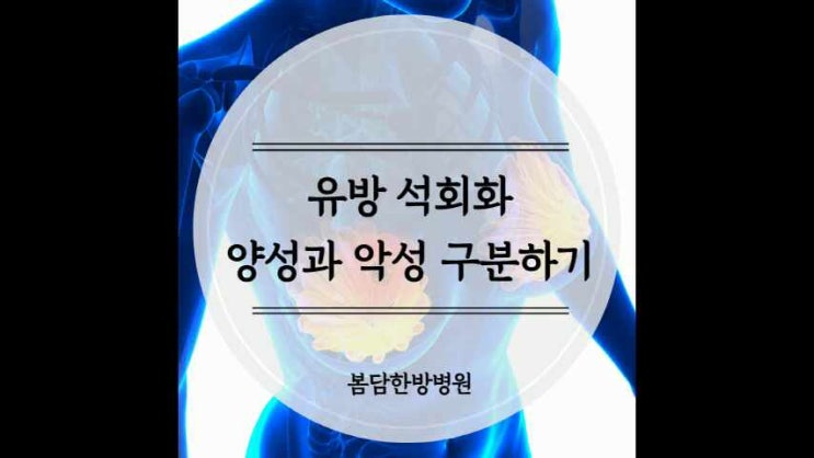 유방 석회화, 양성 석회화와 악성 석회화 어떻게 구분할까? : 네이버 블로그
