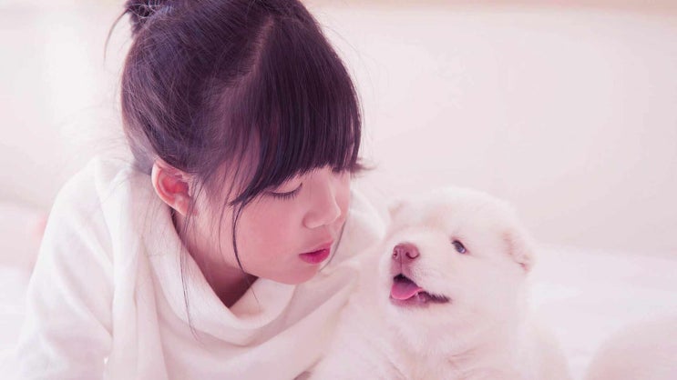  분당 강아지 장례 반려견 화장 화장터 반려동물 장례식장 정성으로 감동스러운 진행