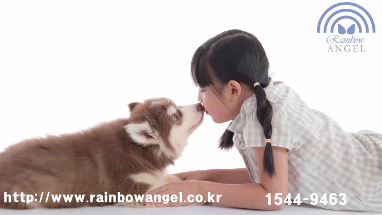  김포 강아지 장례 화장 화장터 접근성이 좋아 이동이 용이합니다.