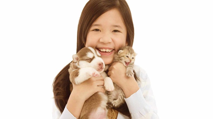  안양 강아지 장례 고양이 장례 접근성과 시설을 비교하세요
