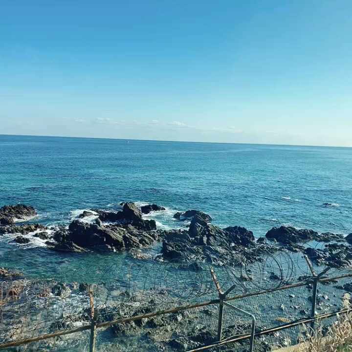  [강원도/강릉] 강릉, 동해바다 1박2일 여행 1일차(강릉역, 묵호역, 수림, 묵호등대, 논골담길, 정동진역, 강릉 중앙시장)