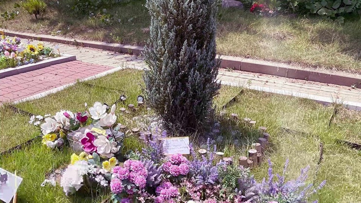  인천 고양이 장례 장례식장 접근성이 좋아 24시간 편하게