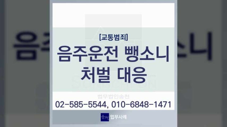  음주운전 뺑소니 사고 도주 혐의로 처벌을