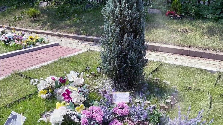  성남 강아지 장례 애견 장례식장 미리 봐야 할 핵심사항