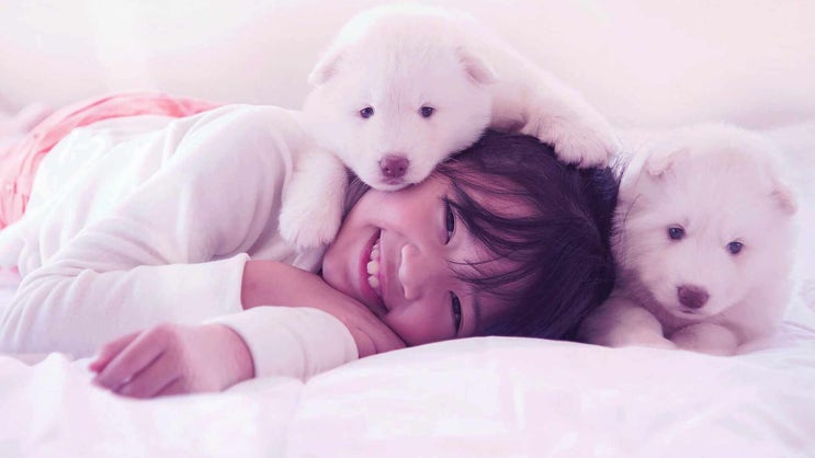  양평 강아지 장례 고양이 화장 장례식장 예약 즉시 전체 일정이 바로 가능합니다.