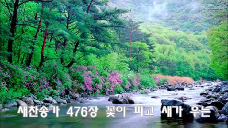  새찬송가 476장 꽃이 피고 새가 우는