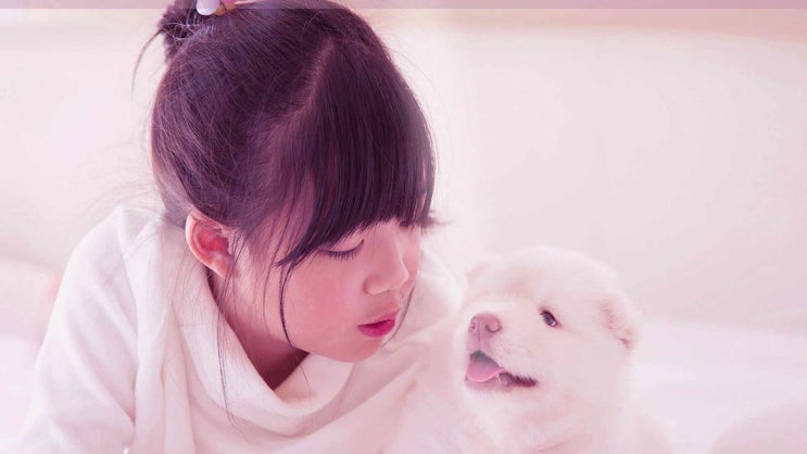  하남 강아지 장례 반려동물 화장 애견 화장터 반려견 장례식장 이별의 순간도 따뜻하게