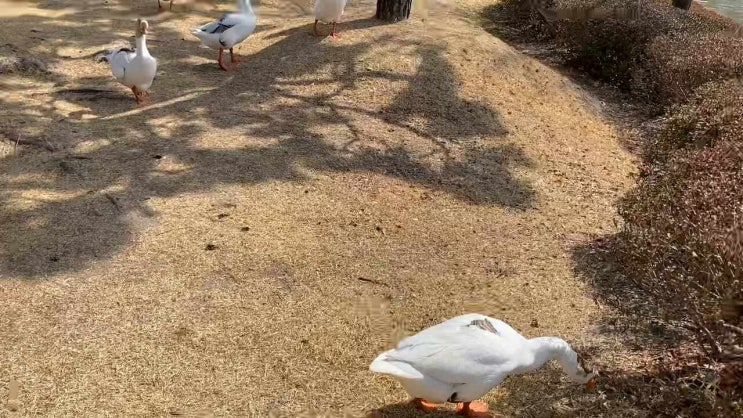  가족과 함께 나들이하기 좋은 곳, 대전 카이스
