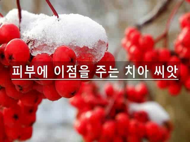  피부에 이점을 주는 치아 씨앗