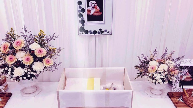  시흥 강아지 고양이 장례 반려동물 화장 화장터 접근성과 퀄리티 있는 방식