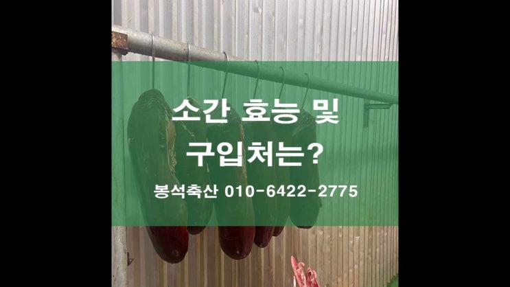소간 효능 및 구입처는? : 네이버 블로그