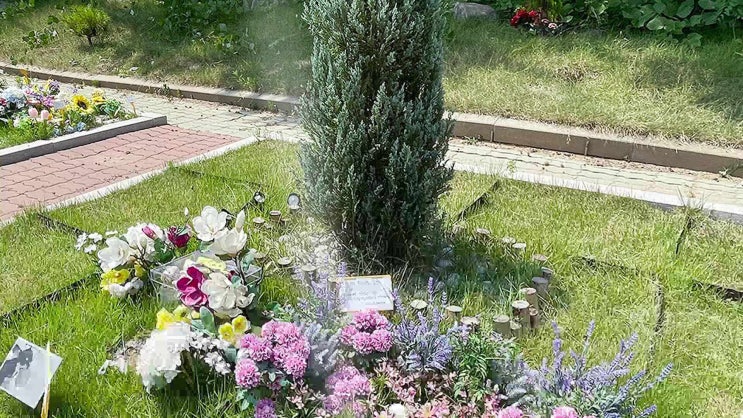  김포 강아지 장례 화장 고양이 장례식장 꼼꼼하게 비교하고 이용하기