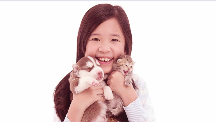  부천 고양이 장례 화장 장례식장 선택이 정말 중요한 이유는