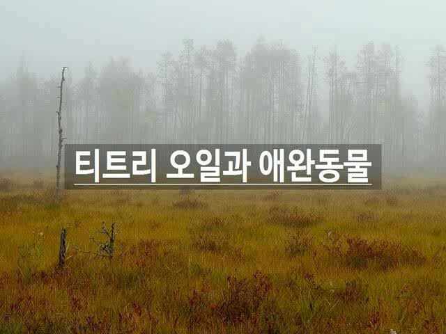  티트리 오일과 애완동물