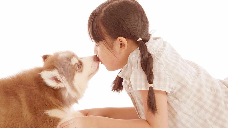  부천 고양이 장례 반려동물 장례식장 처음일수록 꼼꼼하게 확인해 보세요