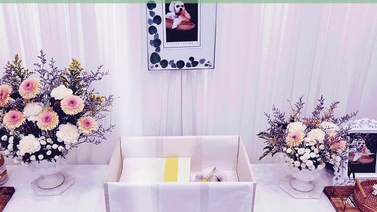  서울 강아지 화장 고양이 장례 공식 서비스를 이용하세요