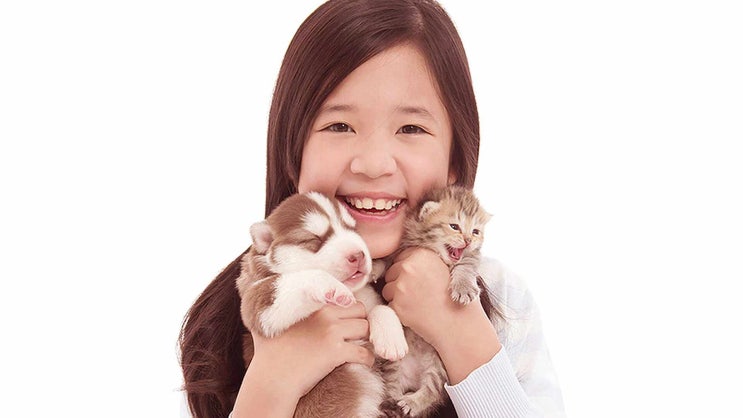  서울 강아지 장례 반려동물 장례식장 올바르게 비교 분석 후에