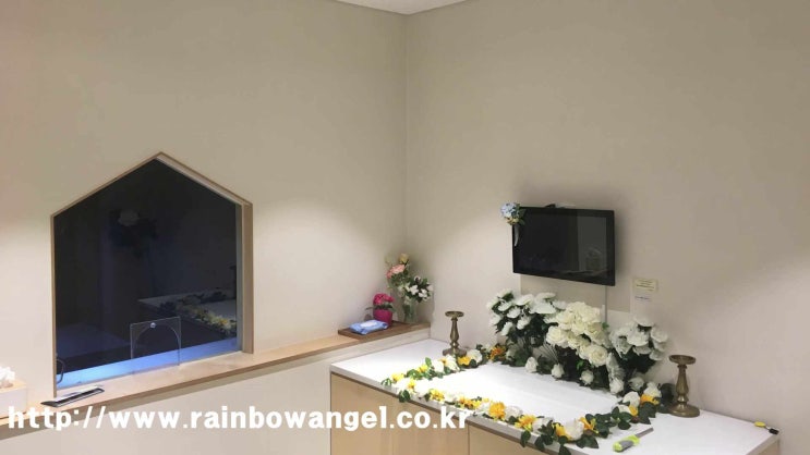  성북구 강아지 장례 고양이 화장 반려동물 장례식장  24시간 전문 지도사와 함께