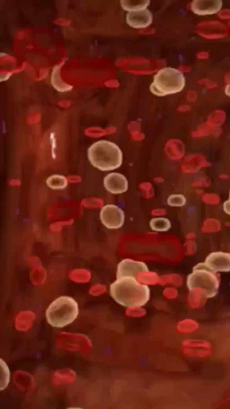  대사증후군( ft. 당화혈색소 HbA1c)